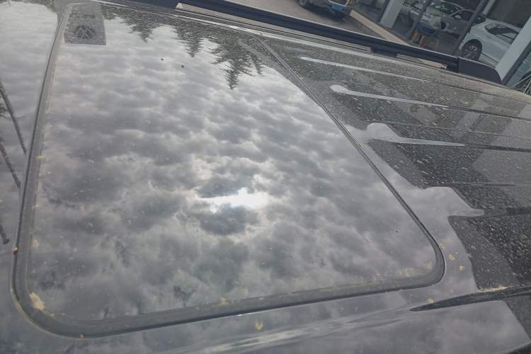 Used Tank 300 2021 Off-Road Edition 2.0T Challenger Roof