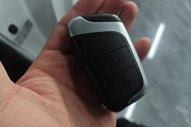 Used Chery Little Ant 2024 251km True Love Edition
