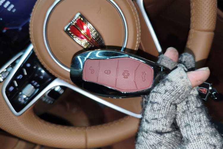 Used Hongqi H9 2025 Model Facelifted 2.0T Two-Wheel Drive Flag-Style Luxury Business Edition, 5 Seats
