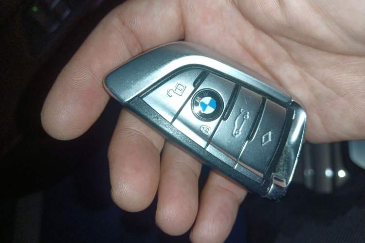 Used BMW 5 Series New Energy 2019 530Le Luxury Package