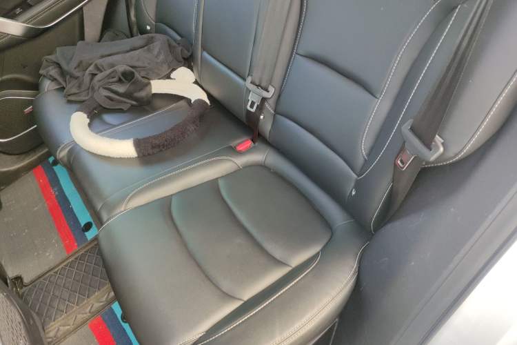 Used Geely Auto Emgrand X7 Sport 2020 1.8TD DCT ZhiZun PRO Left Rear Seat