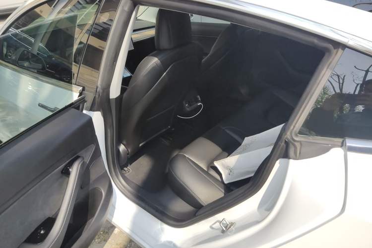 Used Tesla Model 3 2019 Long-Range All-Wheel-Drive Version Left Rear Seat