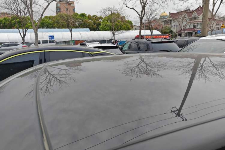 Used Land Rover Range Evoque 2018 240 PS SE Smart Brilliance Edition Roof