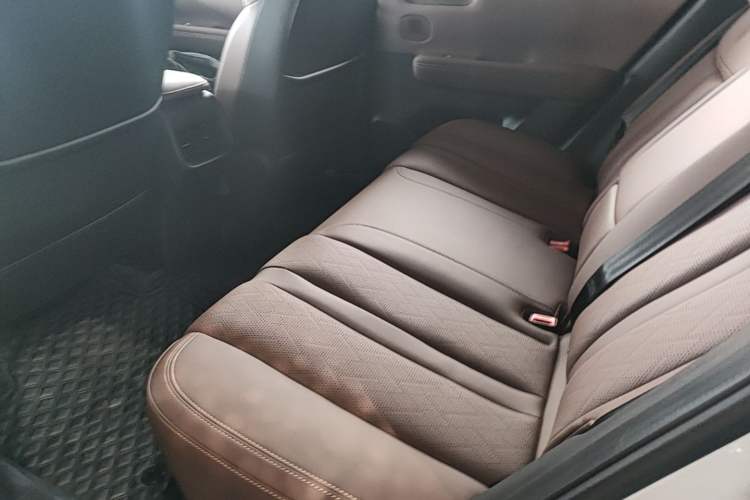 Used Wuling Xingguang S 2024 130 km Flagship Version