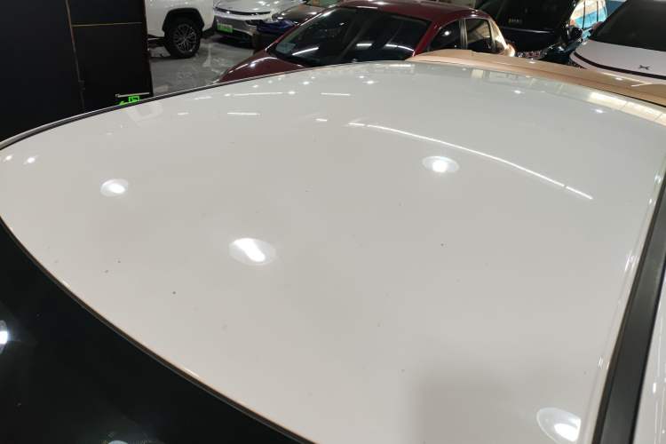 Used ORA White Cat 2022 Xiaoyue Mao Edition 360 km Luxury Model Lithium NMC