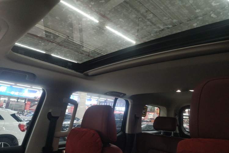 Used Tank 300 2024 2.0T Conqueror
