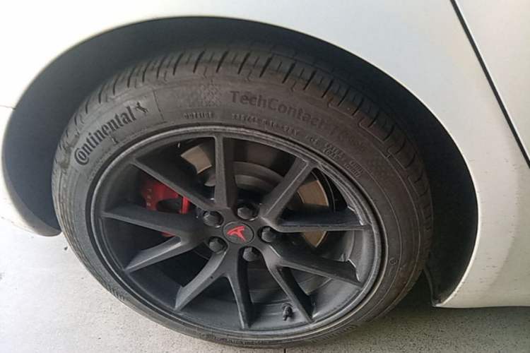 Used Tesla Model 3 2021 Standard Range Rear-Wheel Drive Upgraded Version 3D6
