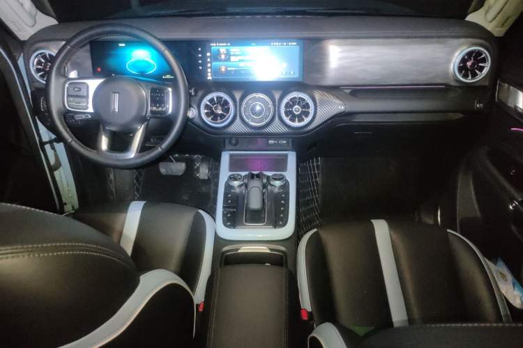 Used Tank 300 2021 2.0T Monet Tribute Limited Edition