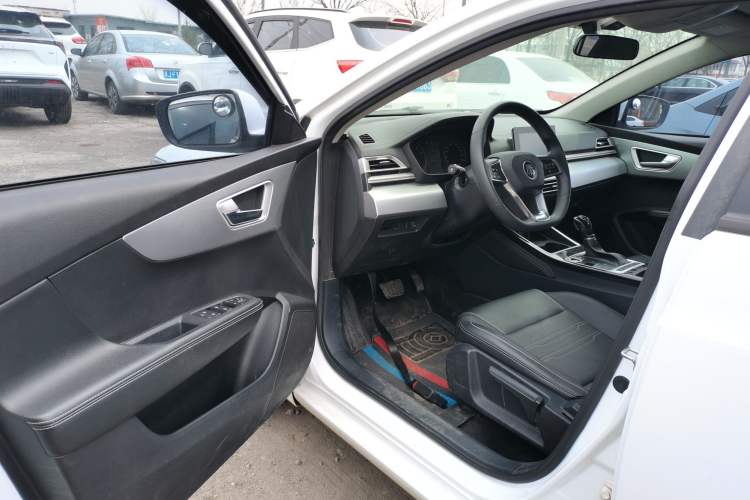 Used BYD Qin 2019 1.5L Automatic Luxury Model Driver Seat