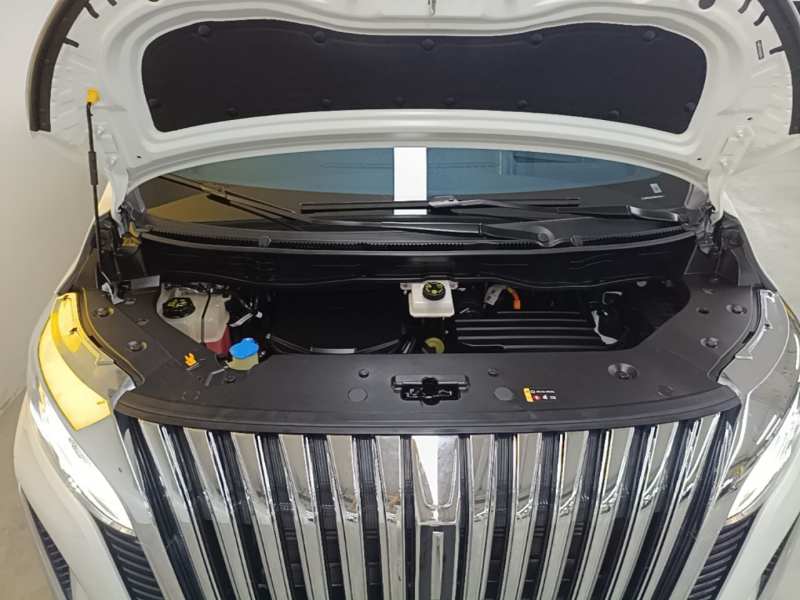 Used Wey Gaoshan 2023 Four-Wheel Drive Flagship Edition — 19