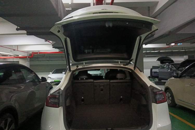 Used Tesla Model Y 2022 Rear-Wheel-Drive Version
