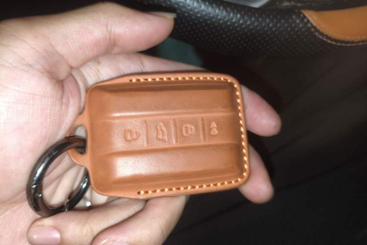 Used Tank 500 New Energy 2023 Hi4-T Interior 1