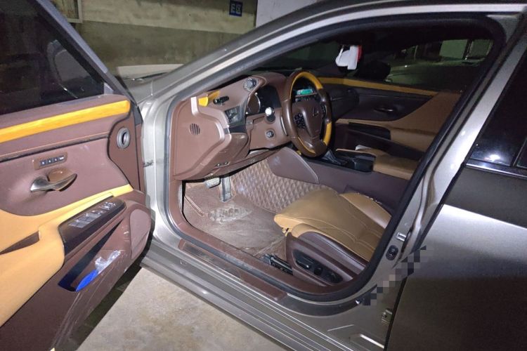 Used Lexus ES 2018 300h Premium Edition China VI Standard
