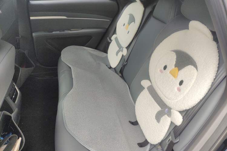 Used XPeng MONA M03 2024 620 with Ultra-Long Range Left Rear Seat