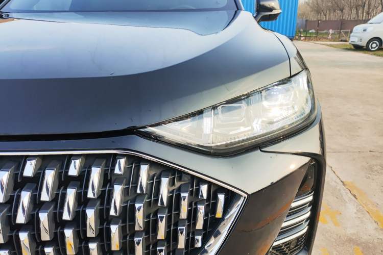 Used Wey Mocha 2021 2.0T Four-Wheel Drive Premium Edition
