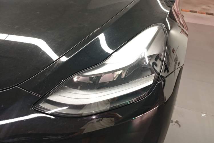 Used Tesla Model Y 2021 Standard Range Rear-Wheel Drive Version
