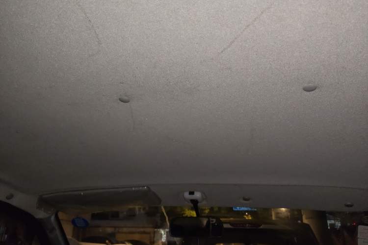 Used Foton Scenic G5 2019 2.0L Restyled New Express 6-Seater Multi-Purpose Passenger Vehicle 1TZ Headliner