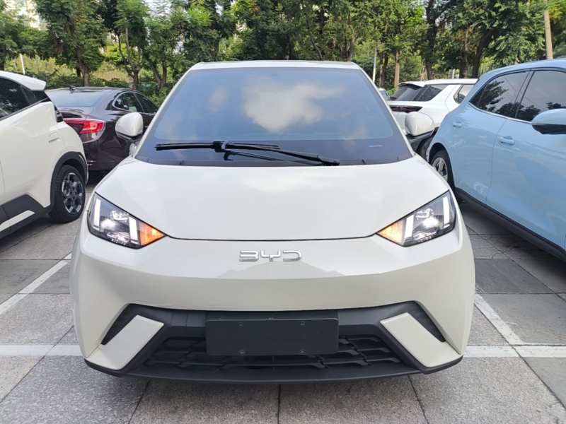 Used BYD Seagull 2025 405 km Flying Edition — 2