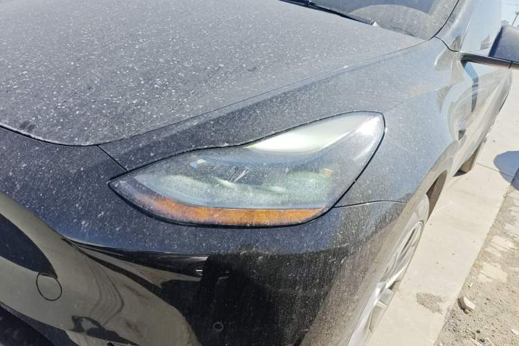 Used Tesla Model Y 2022 Rear-Wheel-Drive Version