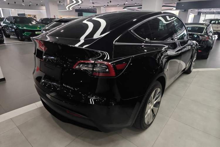 Used Tesla Model Y 2021 Standard Range Rear-Wheel Drive Version

