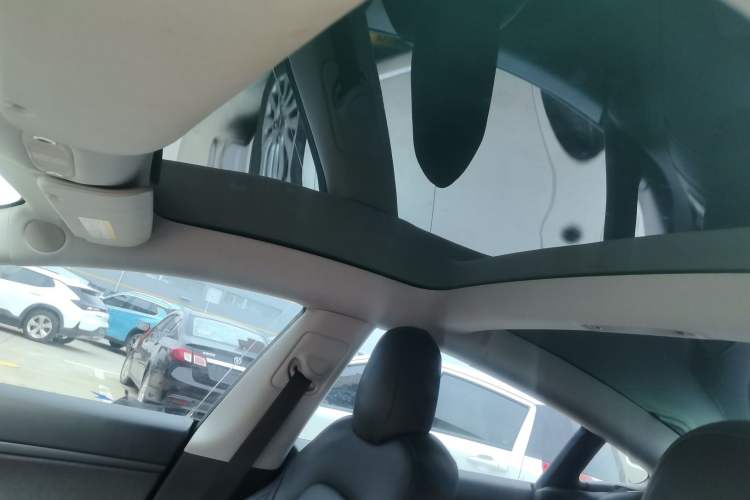 Used Tesla Model 3 2020 Standard Range Rear-Wheel Drive Upgraded Version Headliner