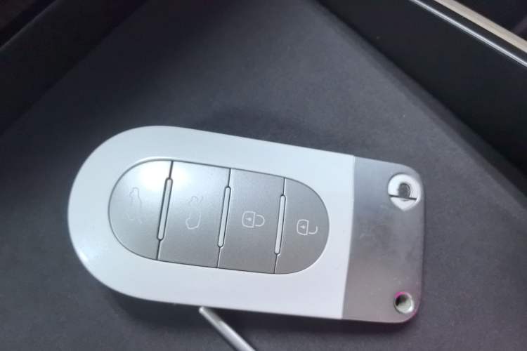 Used smart #5 2024 Ultra-Long Range Extraordinary Journey Luxury Edition
