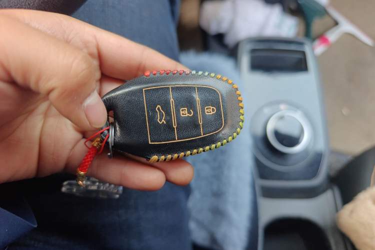 Used Electric House YOUNG Light XiaoXin 2021 L400 4-seater
