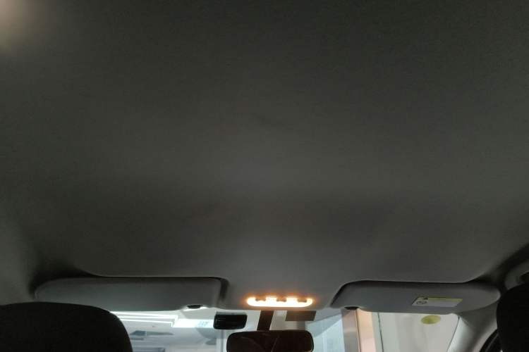 Used Nissan Terra 2020 2.5L XE Manual Two-Wheel-Drive Elite Edition Headliner