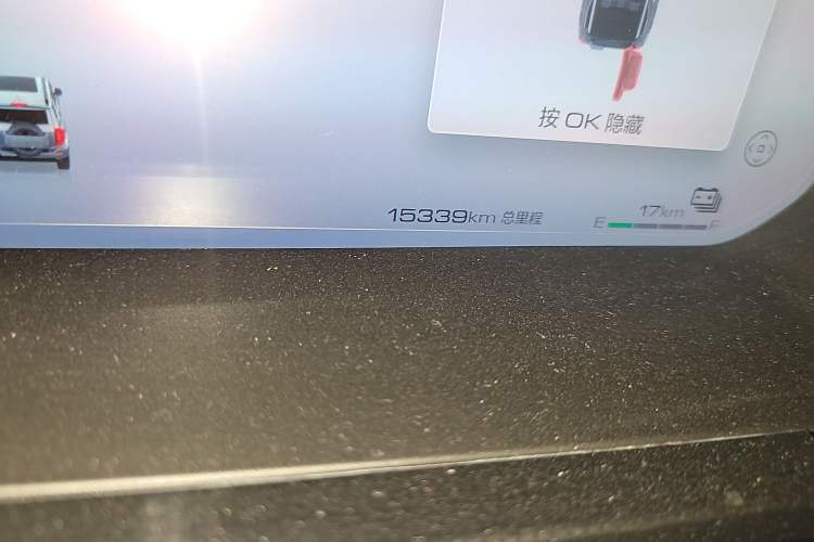 Used Tank 400 New Energy 2024 Hi4-T City Edition
