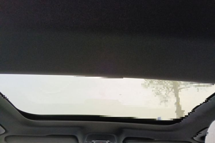 Used Audi A6L 2021 40 TFSI Luxury Dynamic Edition Headliner