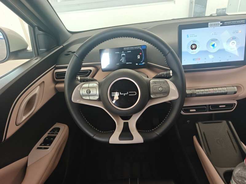 Used BYD Seagull 2023 Free Edition — 11