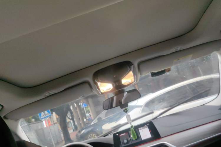 Used BMW 5 Series New Energy 2018 530Le Luxury Package Headliner