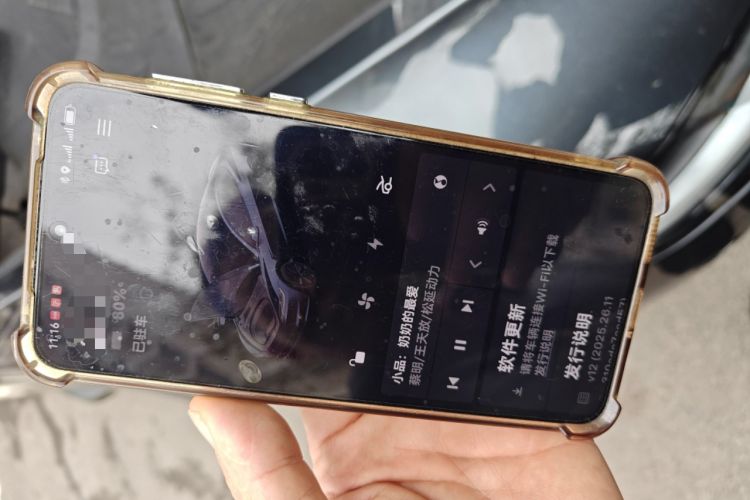 Used Tesla Model 3 2025 Rear-Wheel-Drive Version
