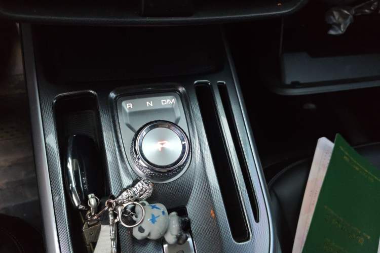 Used Haval JOLION 2021 1.5T Automatic Four-Door Version Gear Lever