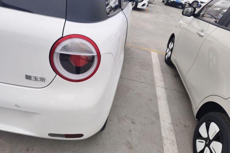 Used Qiyuan Lumin 2025 205 km Xiangqin Version
