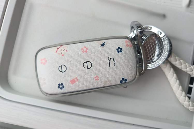 Used Geely Galaxy E8 2024 550 km Range Rear-Drive MAX
