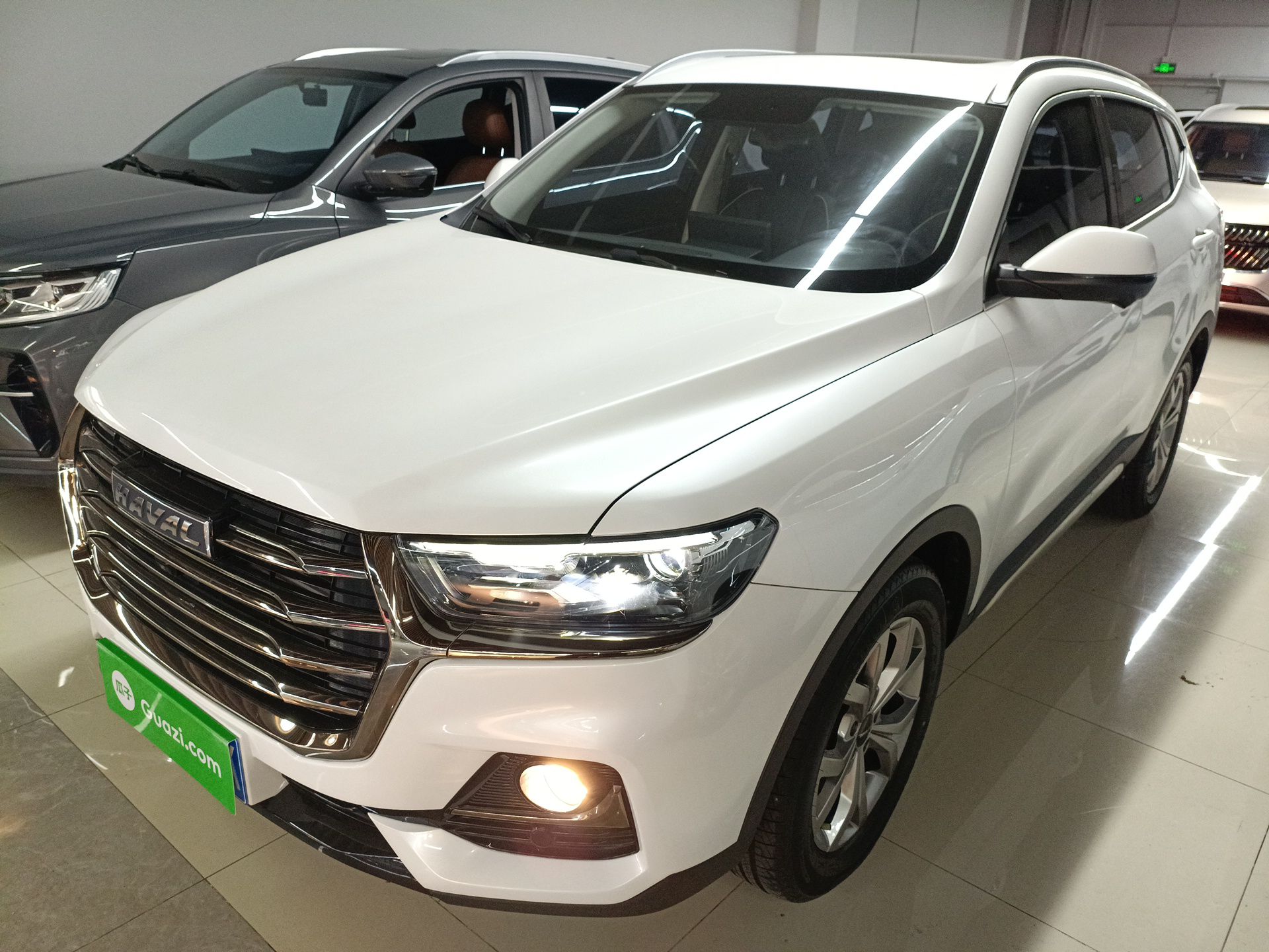 Parte inferior delantera