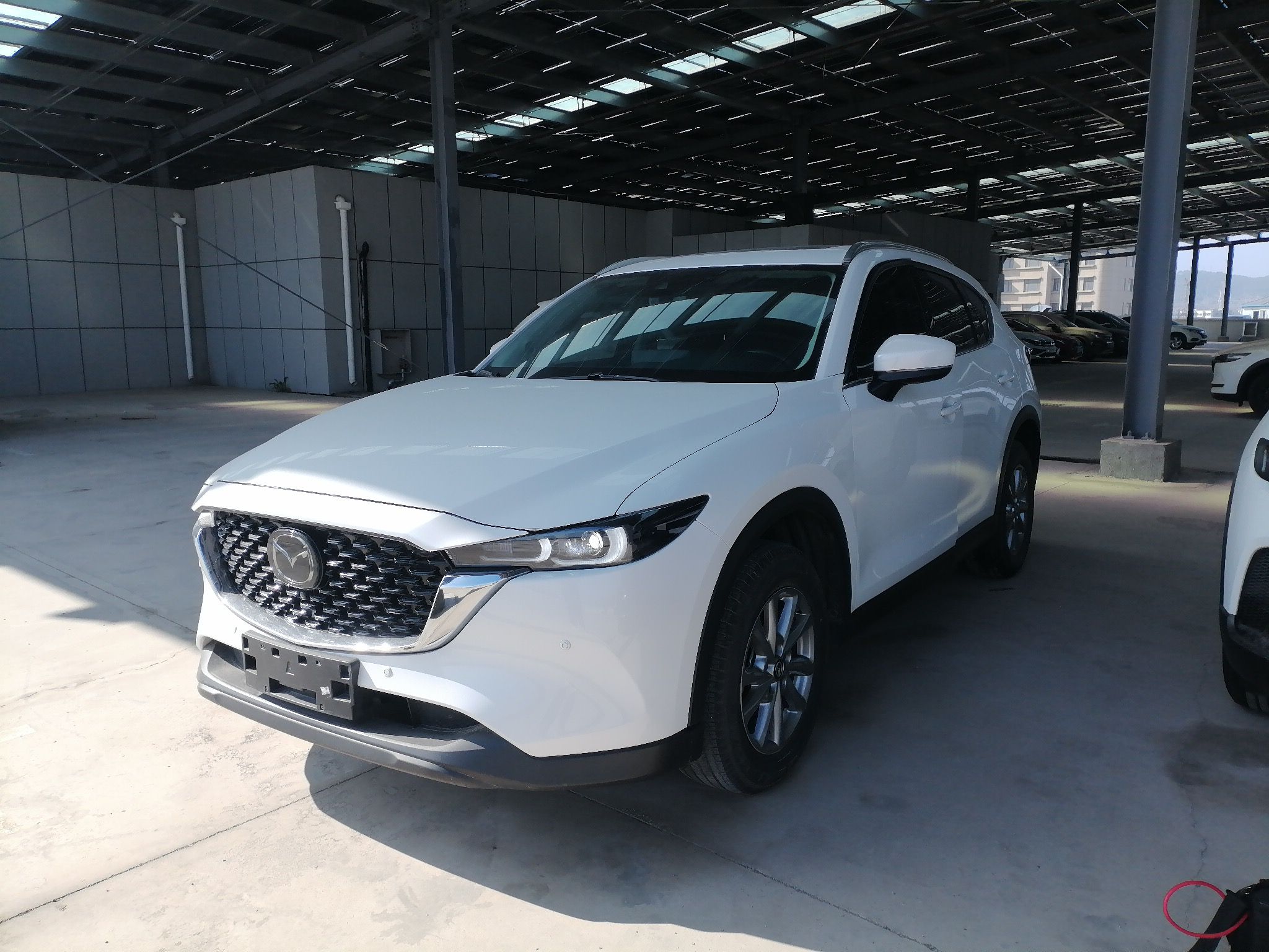 Parte inferior delantera