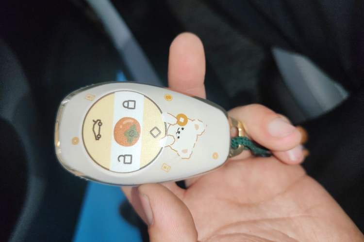 Used Leapmotor T03 2025 310 Comfort Edition Vehicle Key