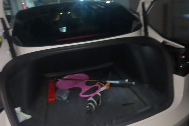 Used Tesla Model 3 2019 Standard Range Rear-Wheel Drive Upgraded Version (60 kWh)
