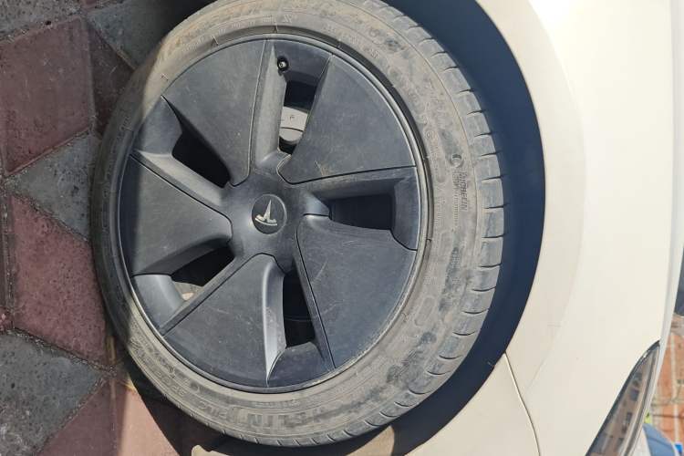 Used Tesla Model 3 2021 Standard Range Rear-Wheel Drive Upgraded Version 3D6