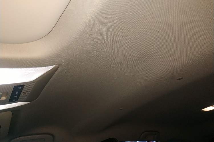 Used Toyota Wildlander 2023 2.0L CVT Two-Wheel Drive Leading Edition Headliner