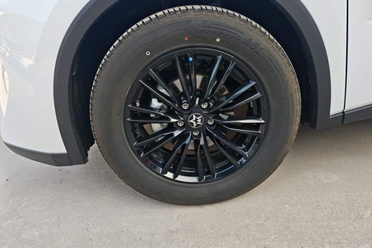 Used Venucia V 2024 260T Idol Joy Ride Pro Edition
