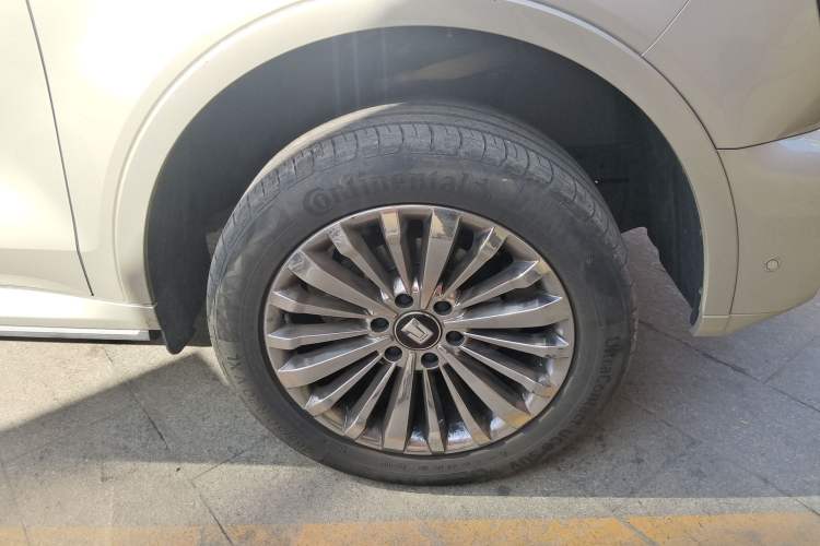 Used Tank 500 2022 3.0T Business Edition "Creation Realm" Design 5-Seater
