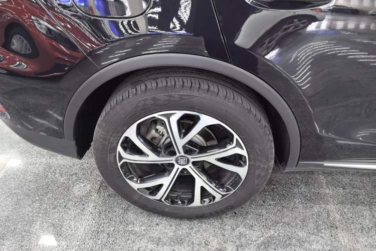 Used BYD Tang New Energy 2025 DM-i 115KM Prestige Model Exterior 5