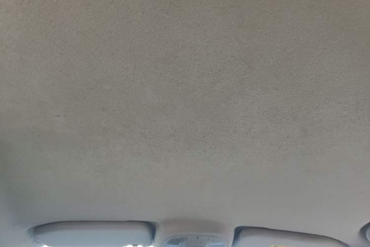 Used BYD Yuan Pro 2021 401 km Luxury Version Headliner