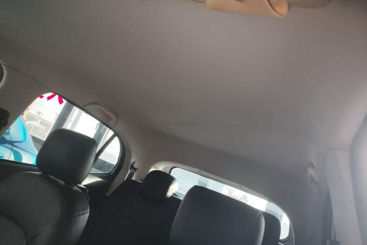 Used Dayun Yuehu 2022 30.66 kWh Two-Wheel Drive Standard Version
