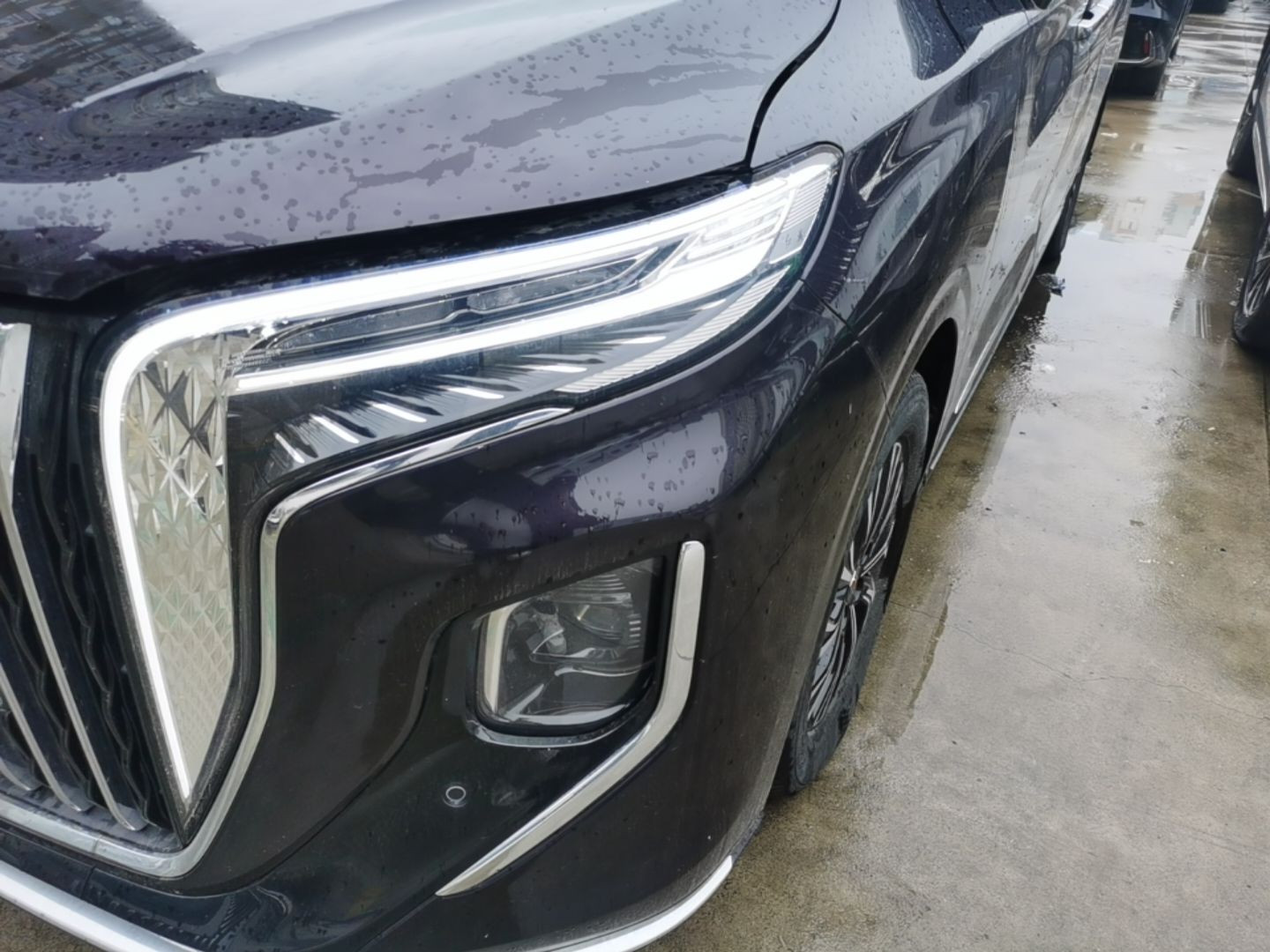 Hongqi HQ9 PHEV 2024 2.0T Four-Wheel Drive Business Edition — снимка 8