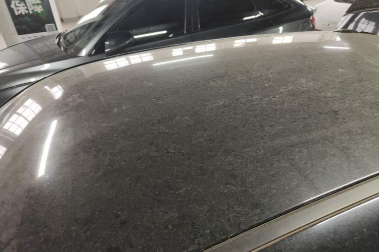 Used ORA Black Cat 2021 301 km Basic Version
