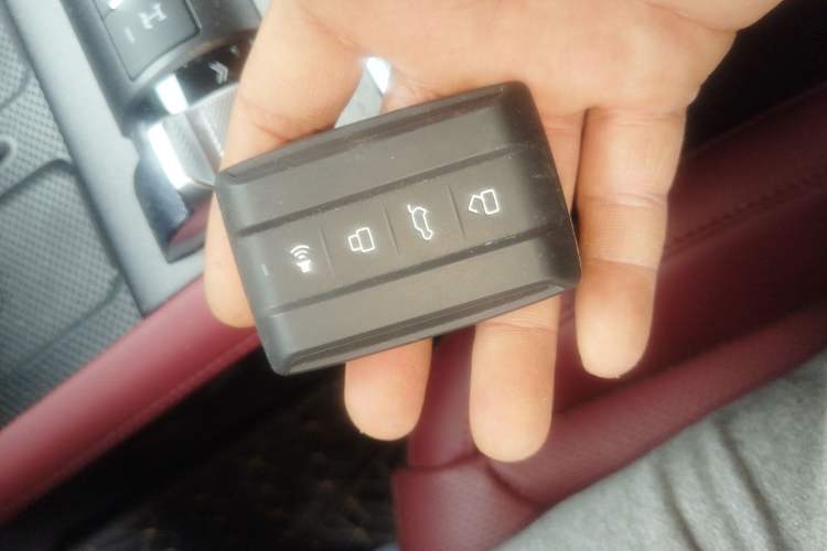 Used Tank 300 2025 2.4T Diesel Version Vehicle Key